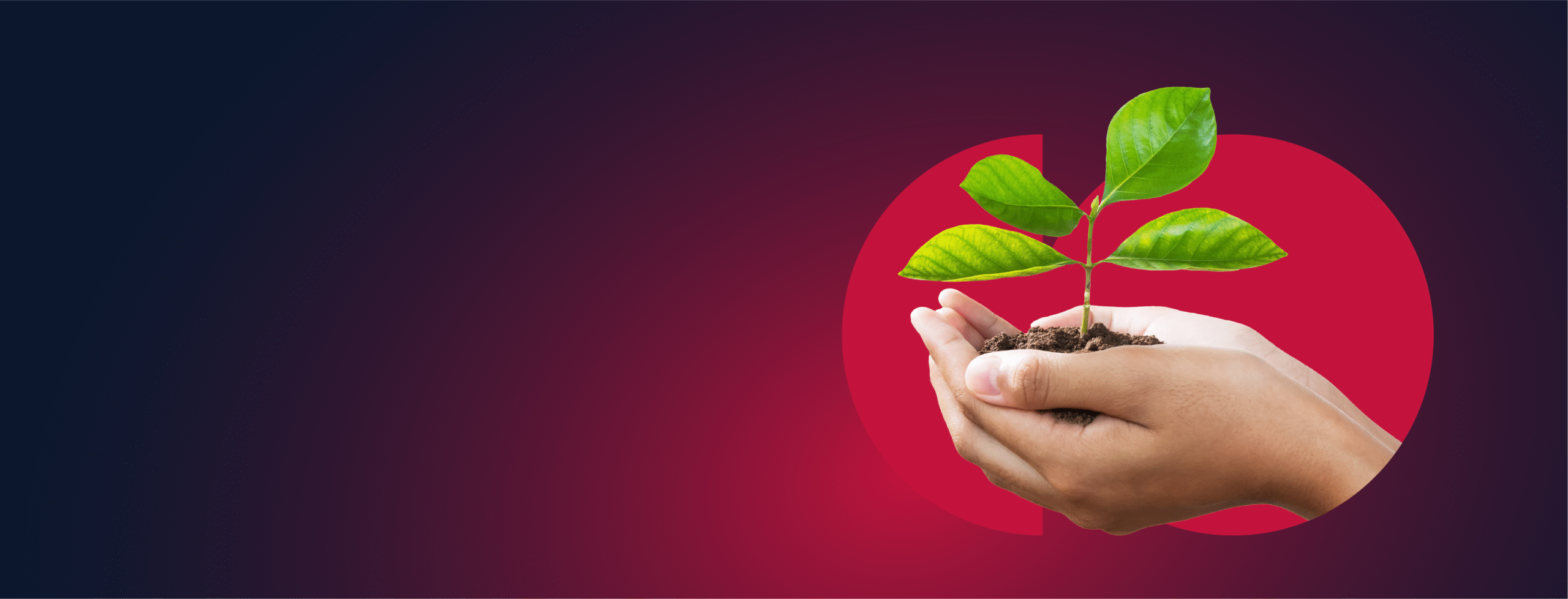Sustainability