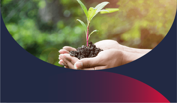 Our Sustainability Program@2x-8