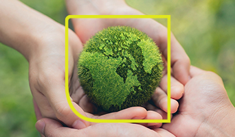 Website Images Uplift 342x200_Sustainability